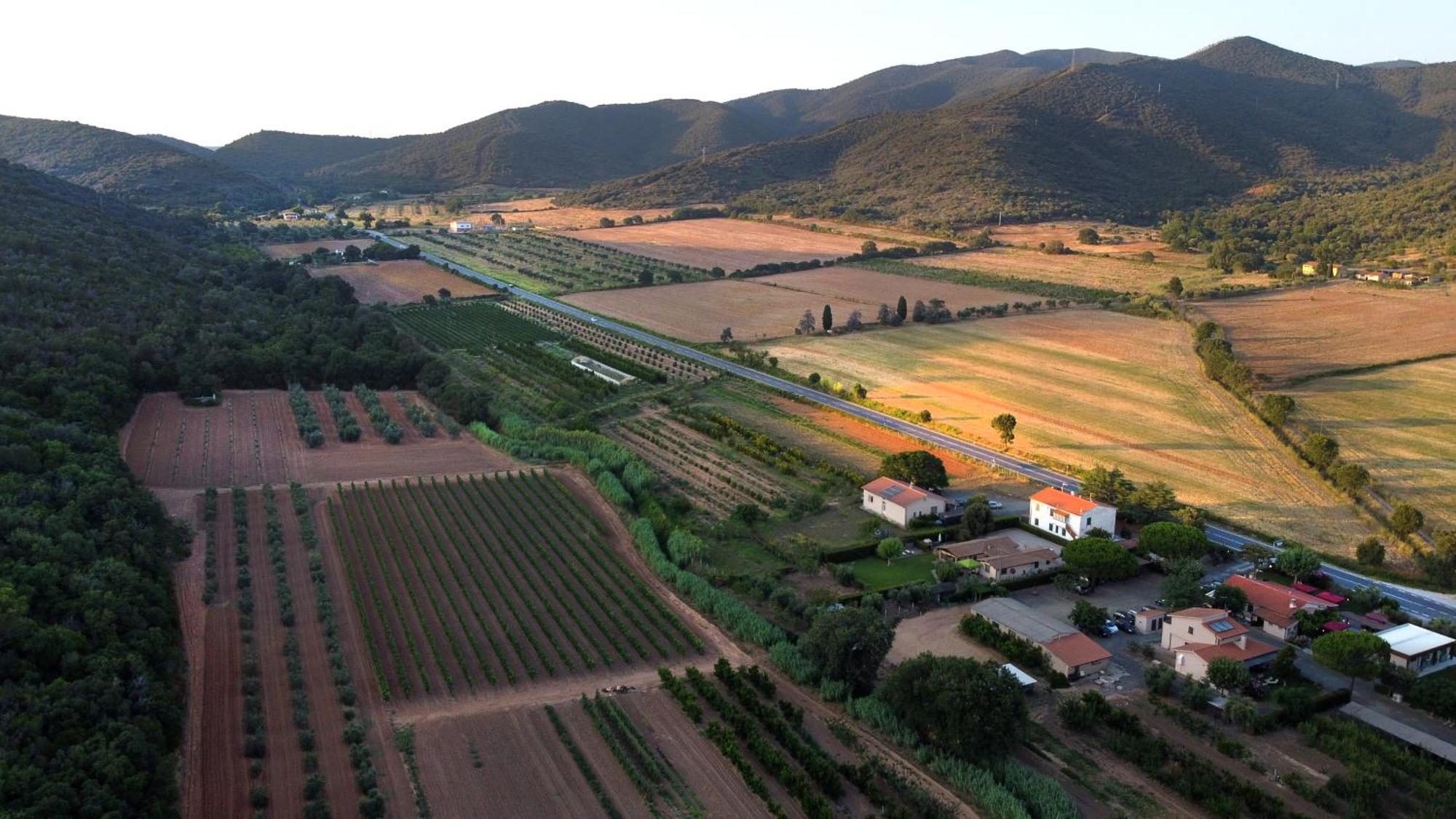 Agriturismo La Sassicaia Castiglione della Pescaia Bagian luar foto
